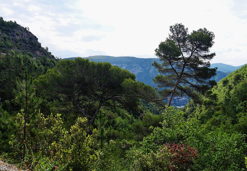 Isolation par l'exterieur Alpes-Maritimes