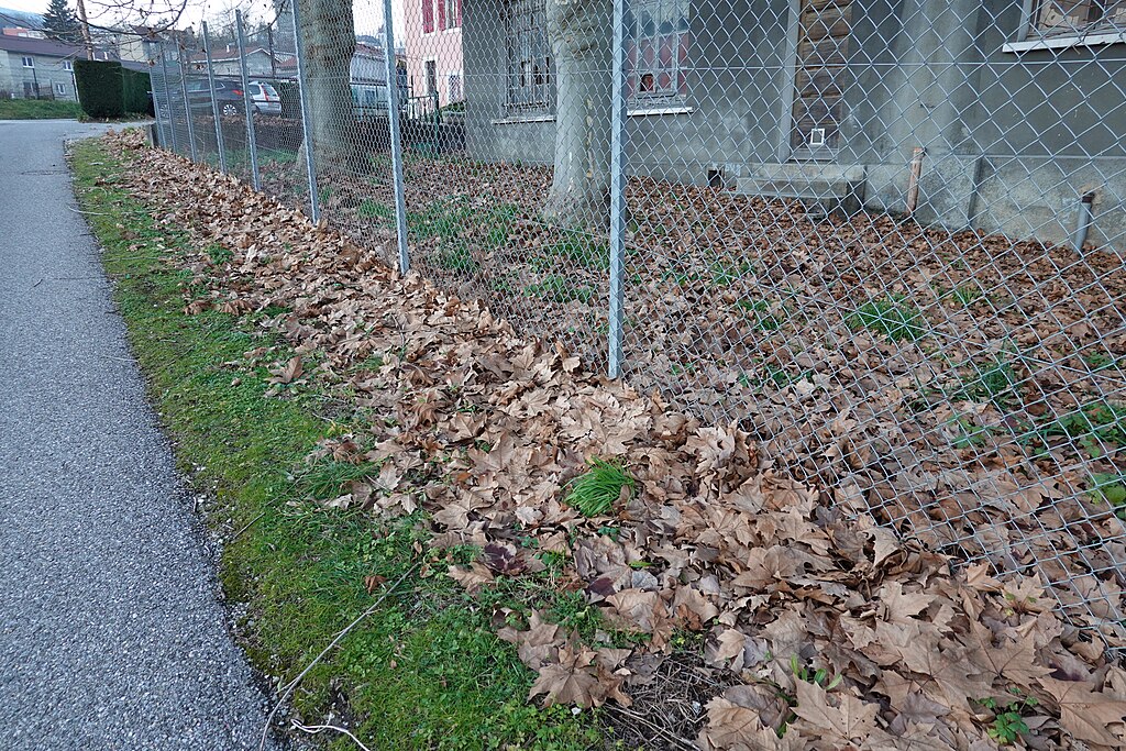 Isolation par l'exterieur Bellegarde-sur-Valserine