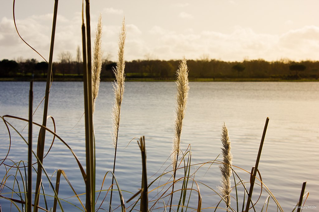 Isolation par l'exterieur Tournefeuille