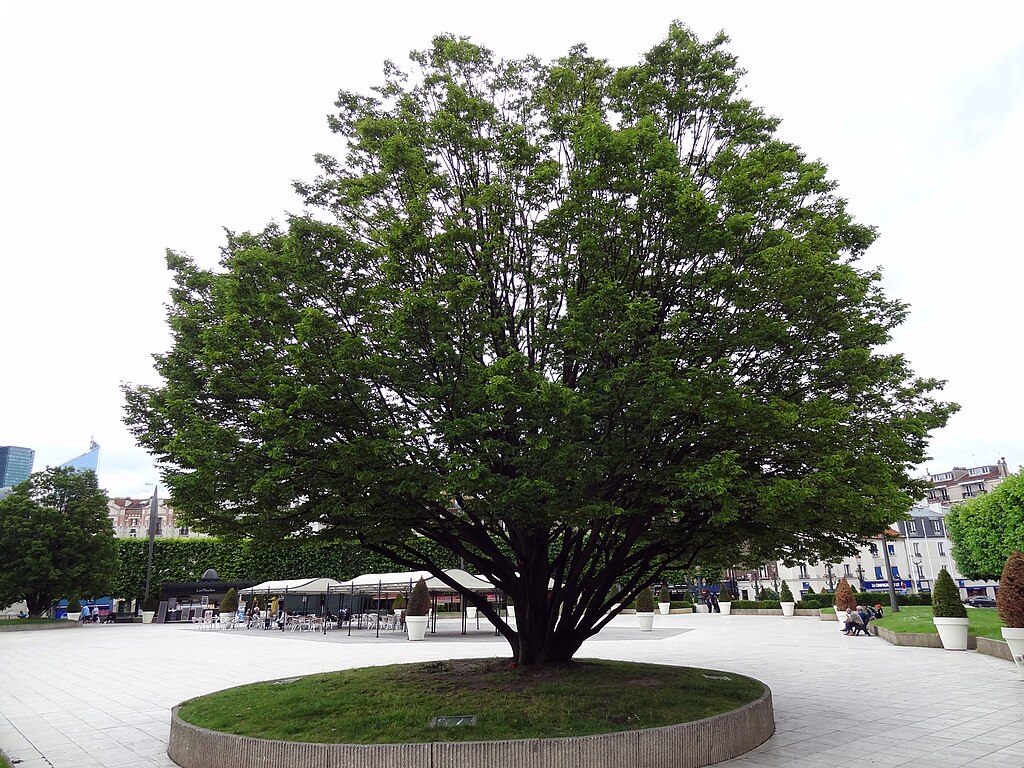 Isolation par l'exterieur Puteaux