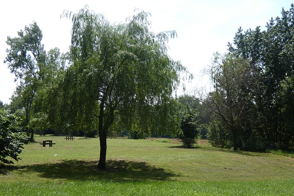 Isolation par l'exterieur Marmande